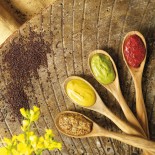 4 petits Pots de Moutardes Portions : en grains, au cassis, au pain d'épices au miel et nature Épicerie salée